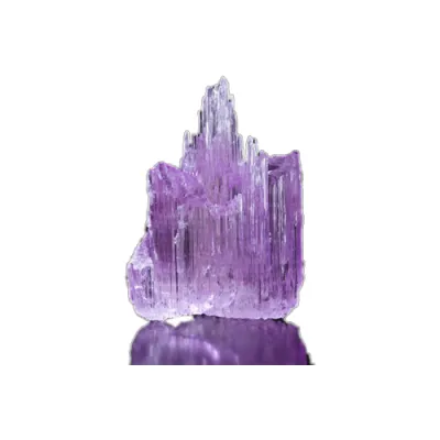 По зодия